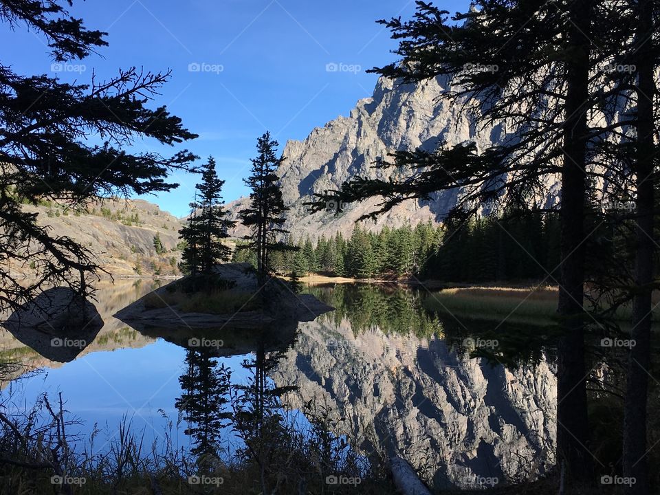 Rocky mountains and tree reflected on lake