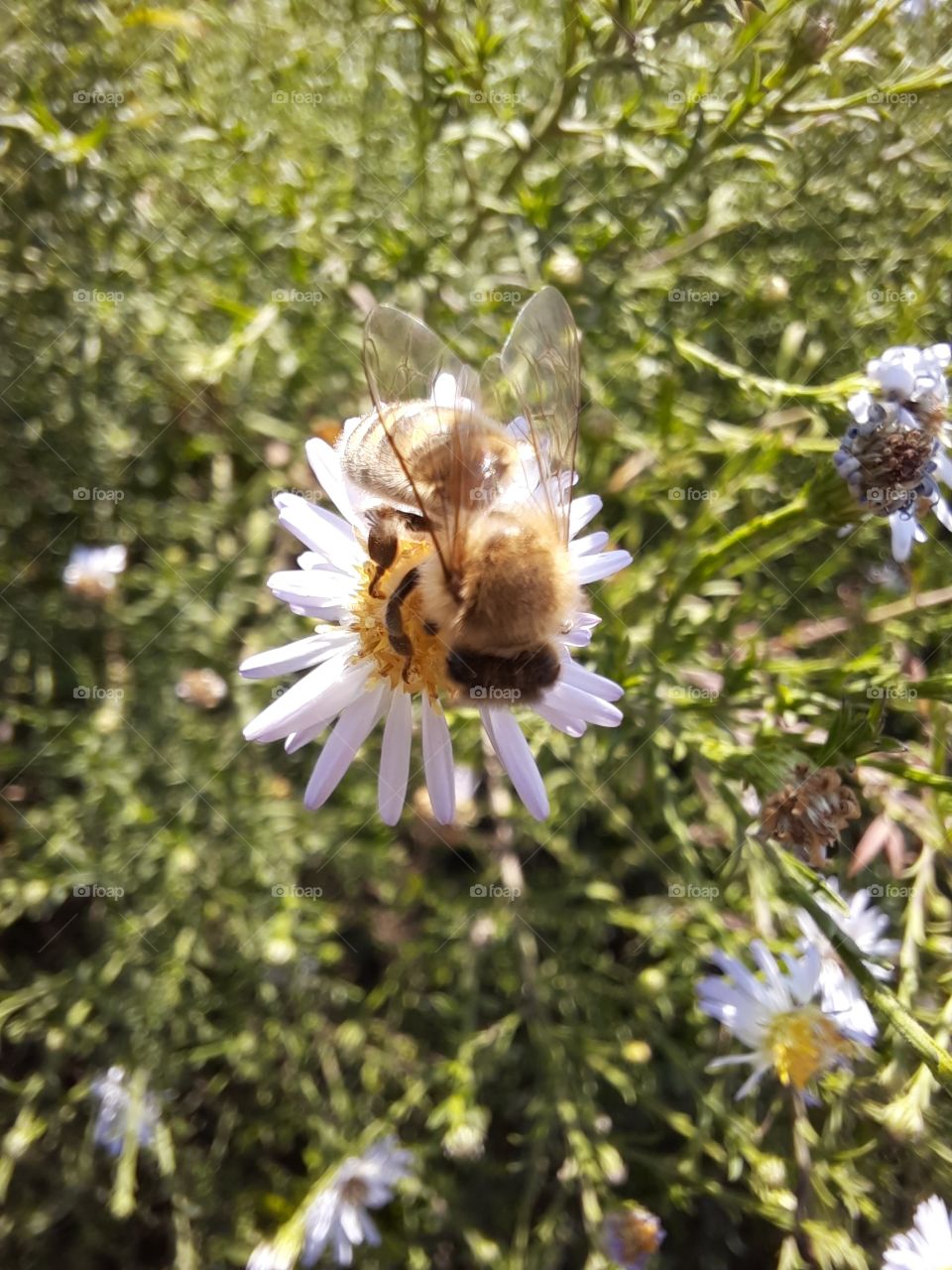 Morning playing - part2