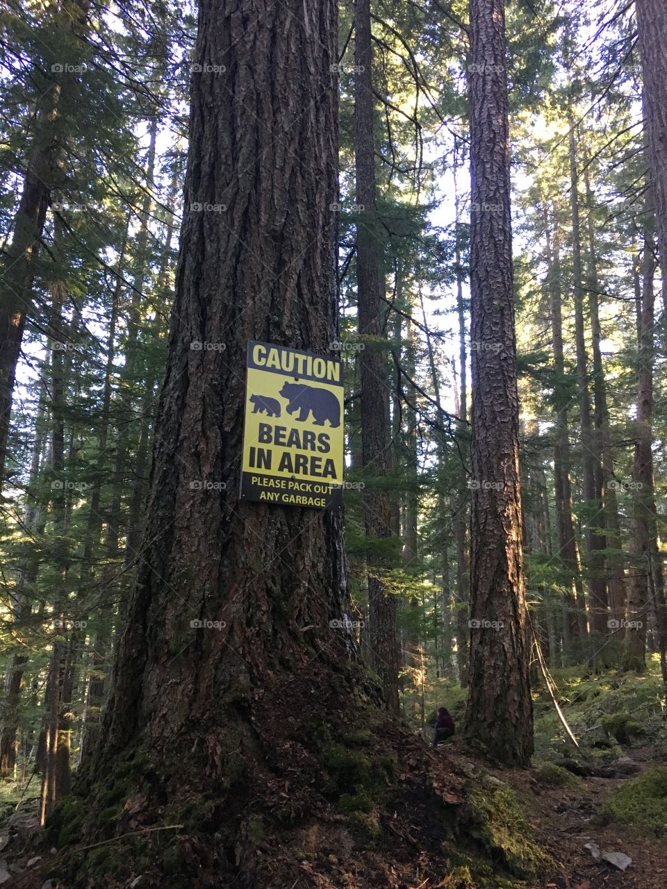 Caution Bears in the area 