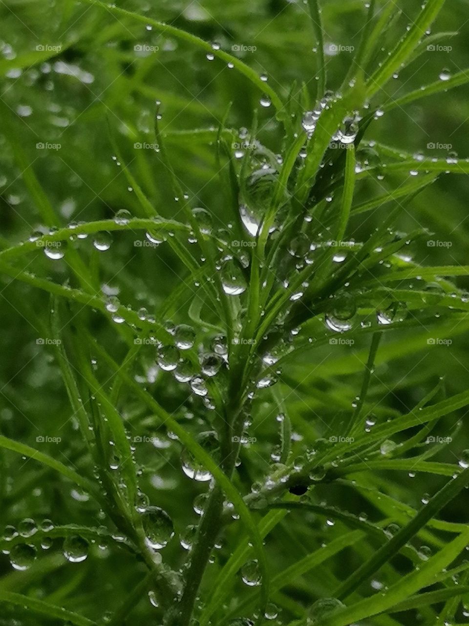 First signs of autumn