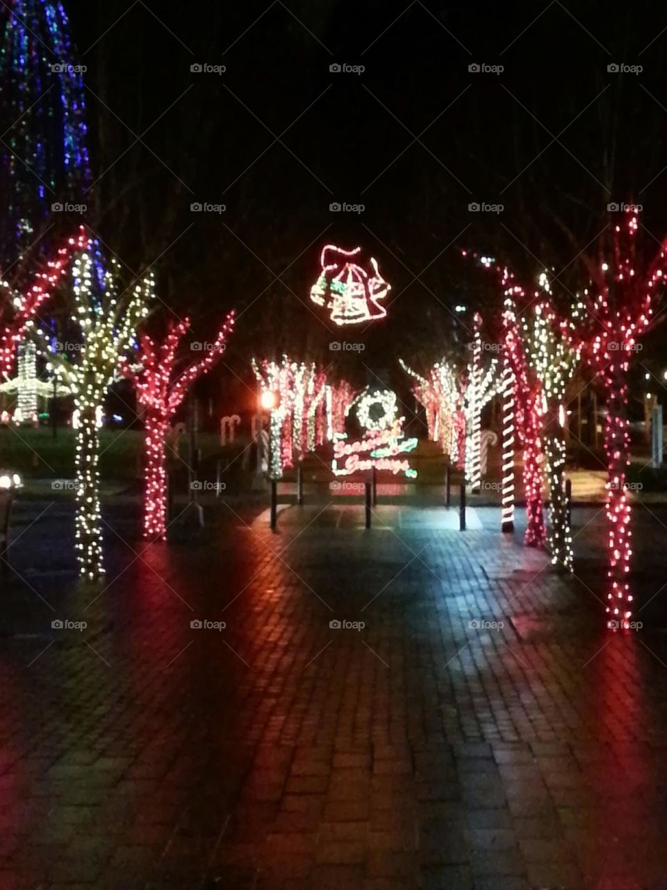 colorful shining night-time Winter holiday light display on tree-lined walkway in Oregon park