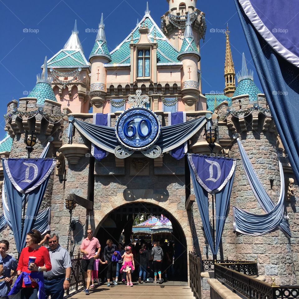 Disneyland Castle 