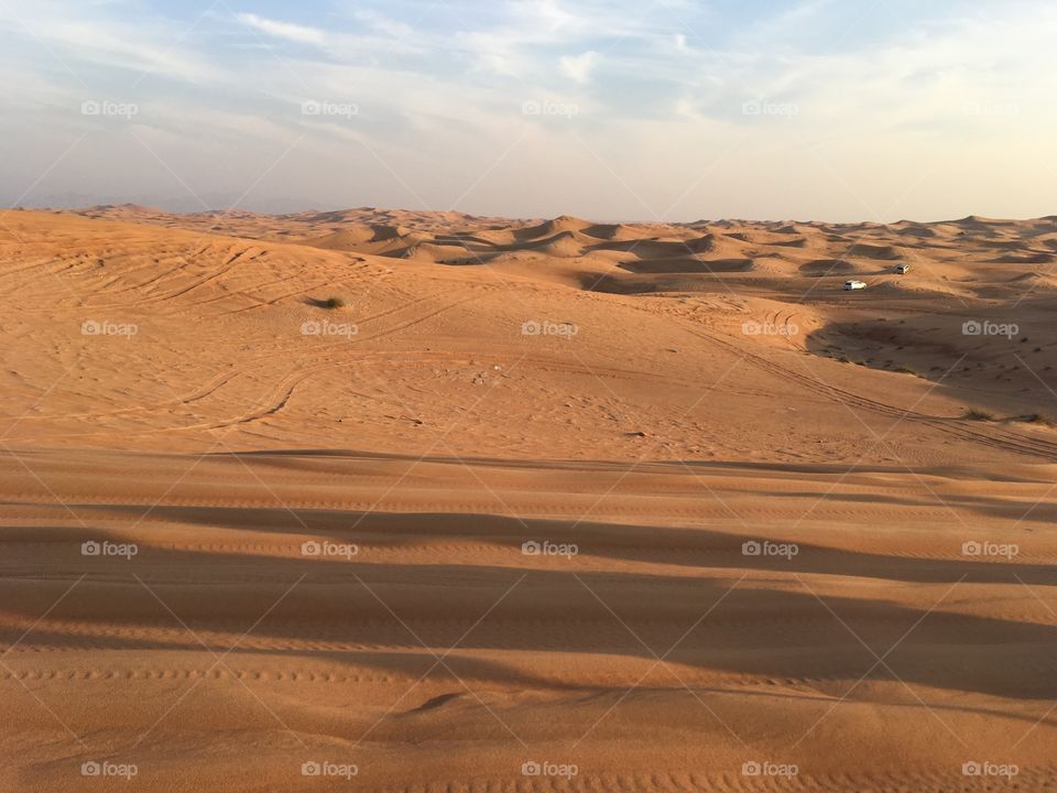 Safari, UAE
