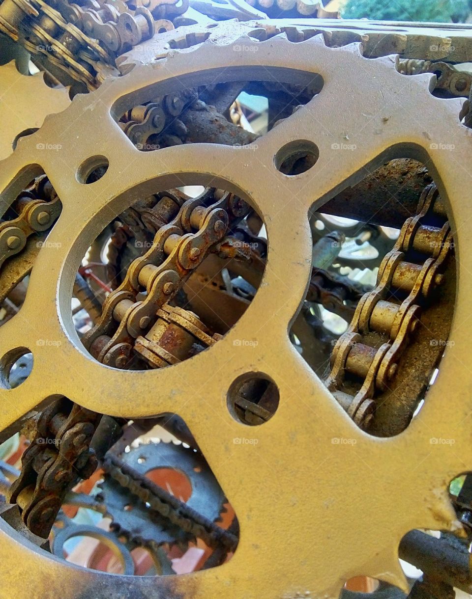 A piece of a scrap golden gear from a golden mechanical horse.