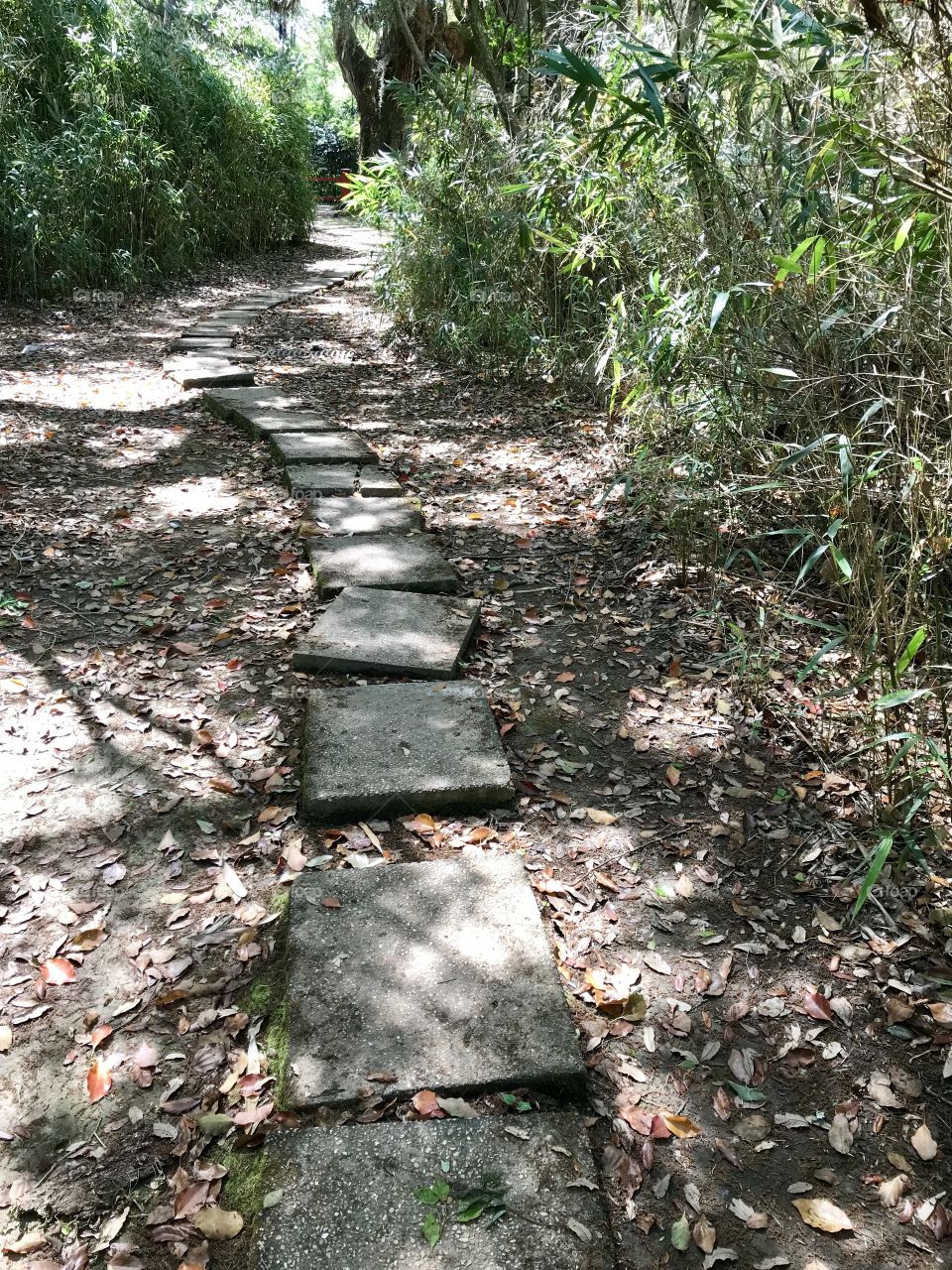 Pathway 