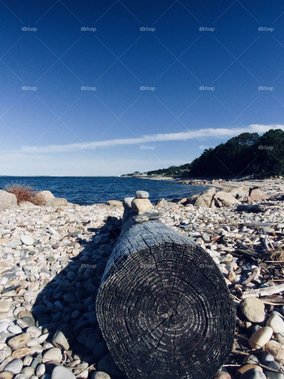 Montauk New York, View, rock, beach, sea, seabirds, 