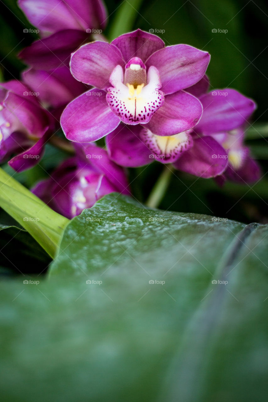 Cool perspective of a flower