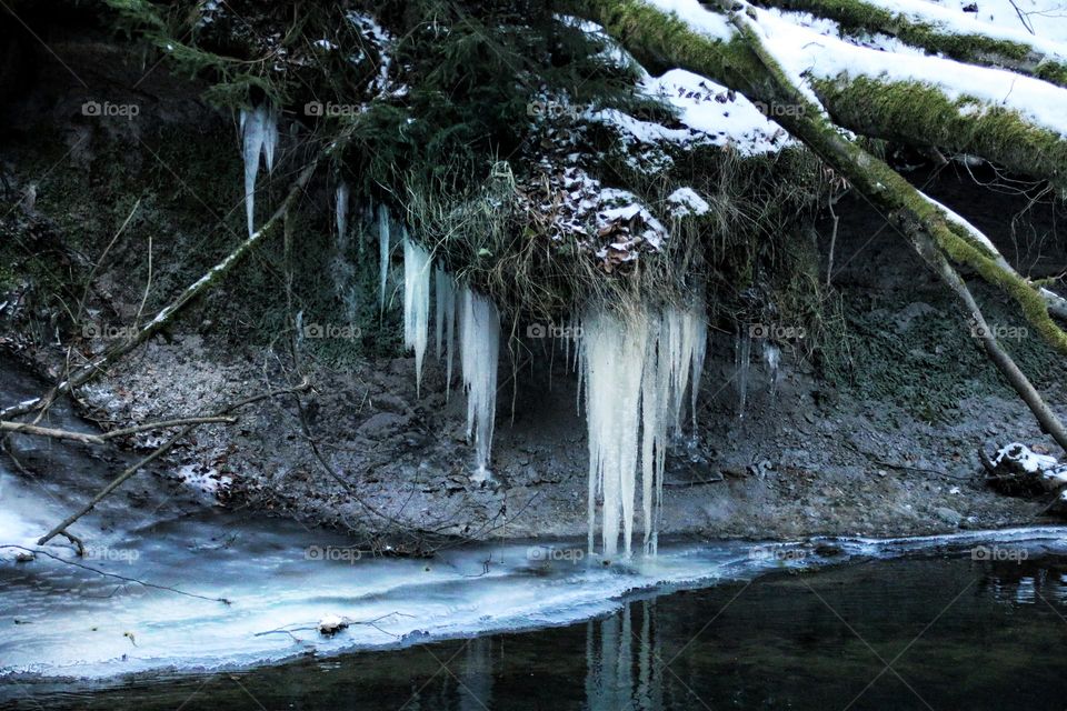 Large, long icicles hang from branches and twigs down into a green river in which they are reflected