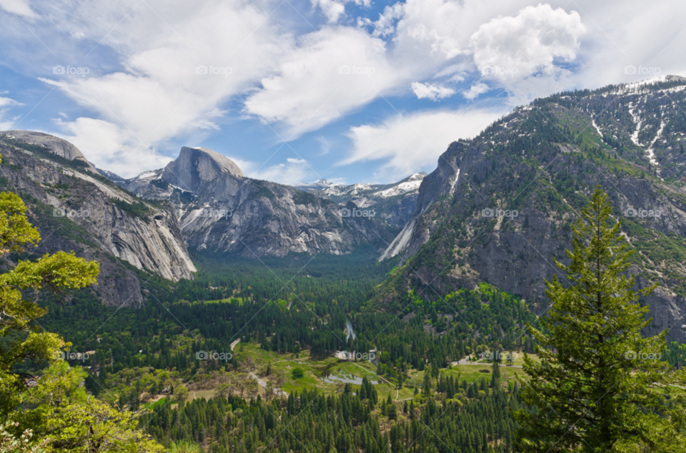 snow mountain forest usa by joeair