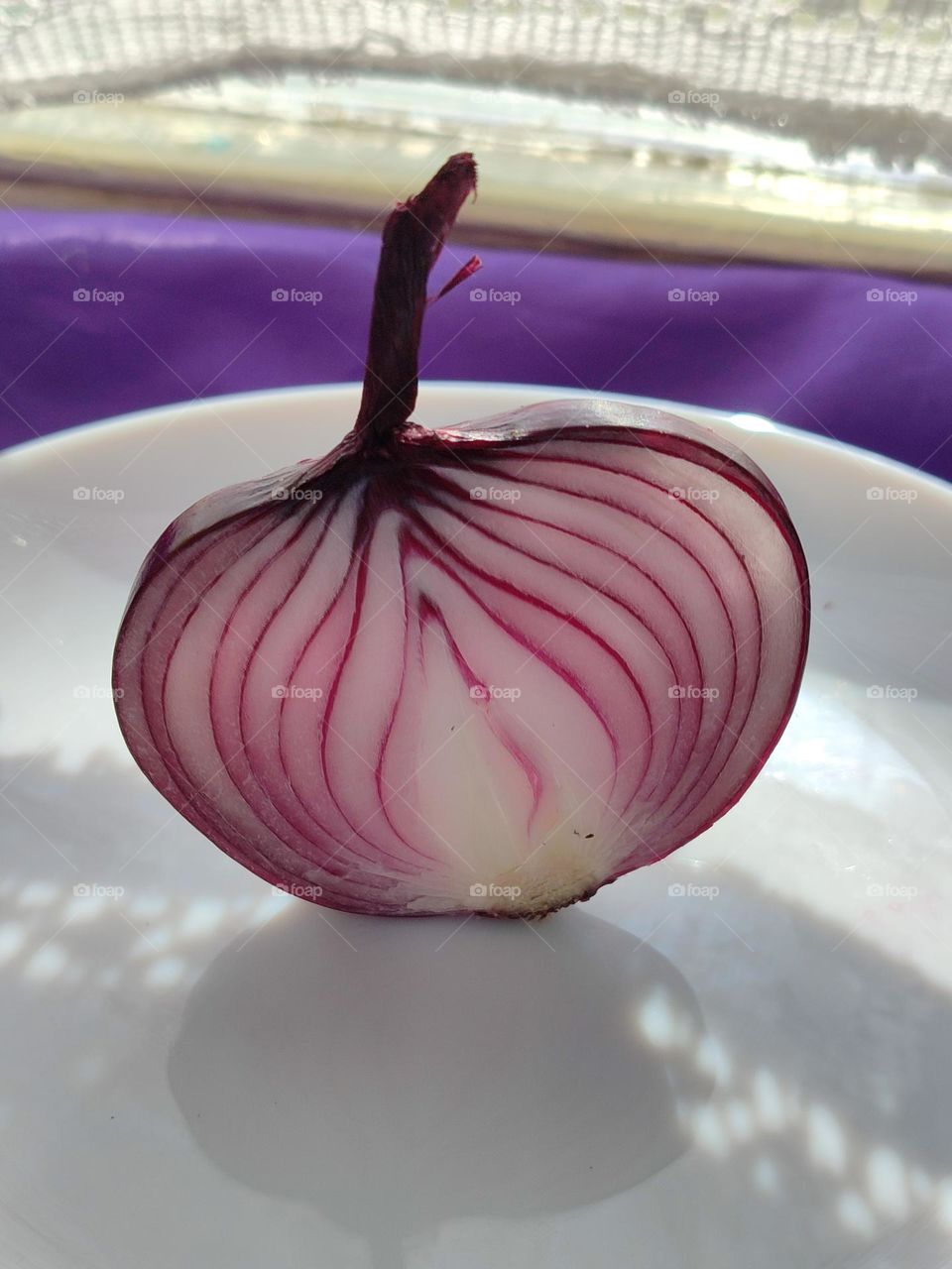 Capture the Power of Complementary Colors,