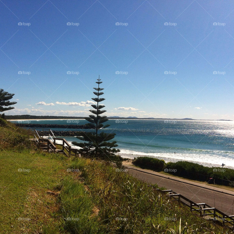 beach ocean tree sand by elijahnefedow