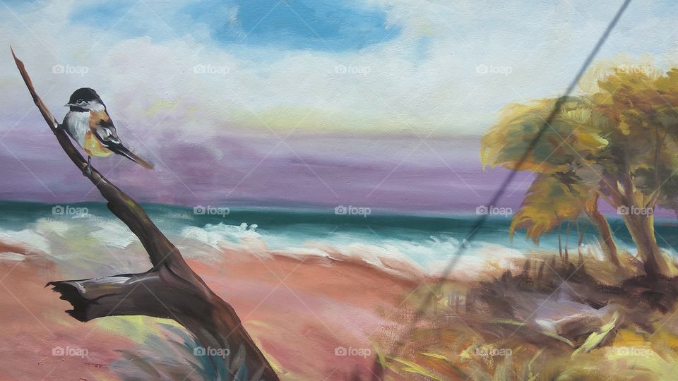 a little bird in wooden stem 
near lovely seashore 
it's awesome lovely clouds so super