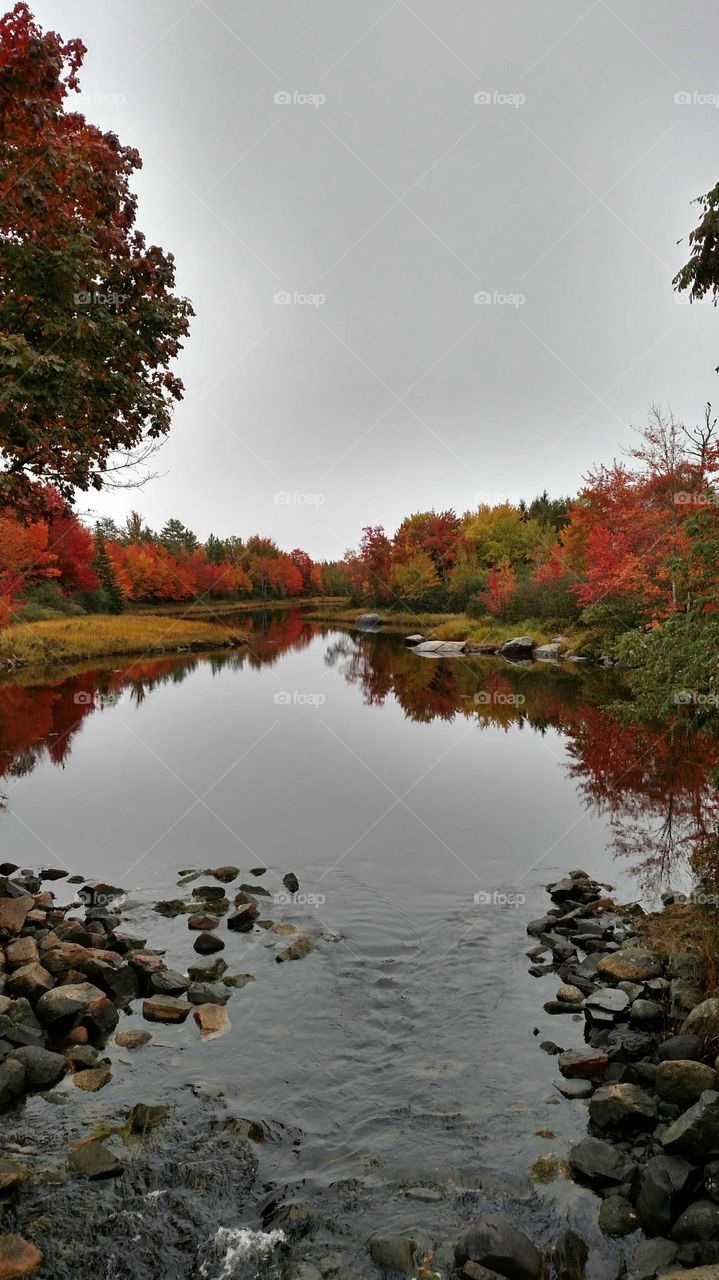 Fall Acadia National Park