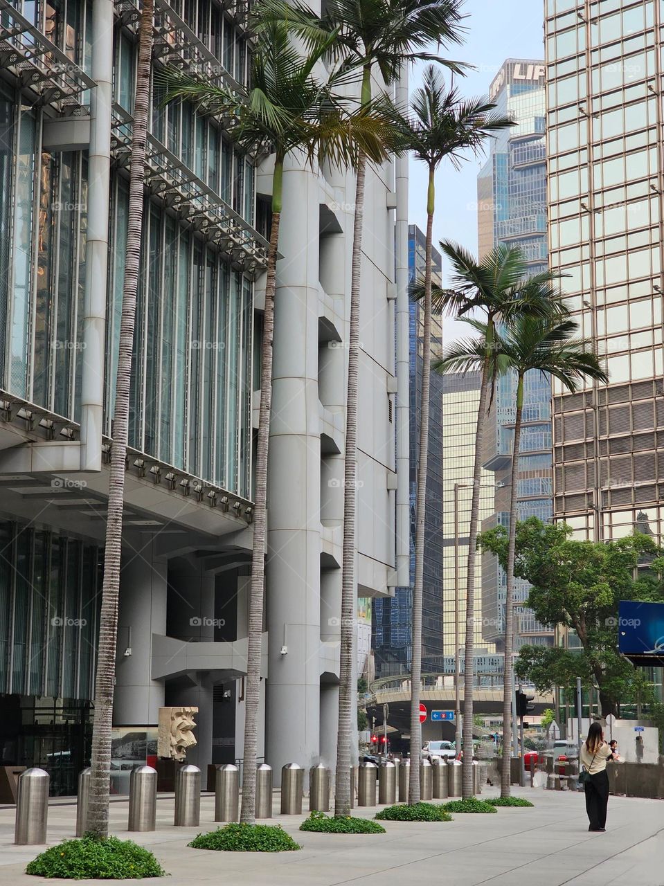 Urban plants at Central Hong Kong