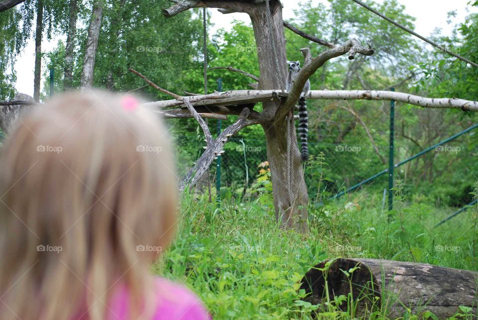 Girl at the Zoo