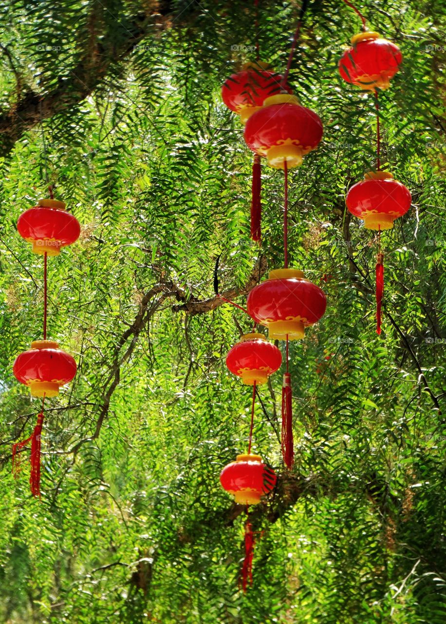 Hanging Chinese Lanterns
