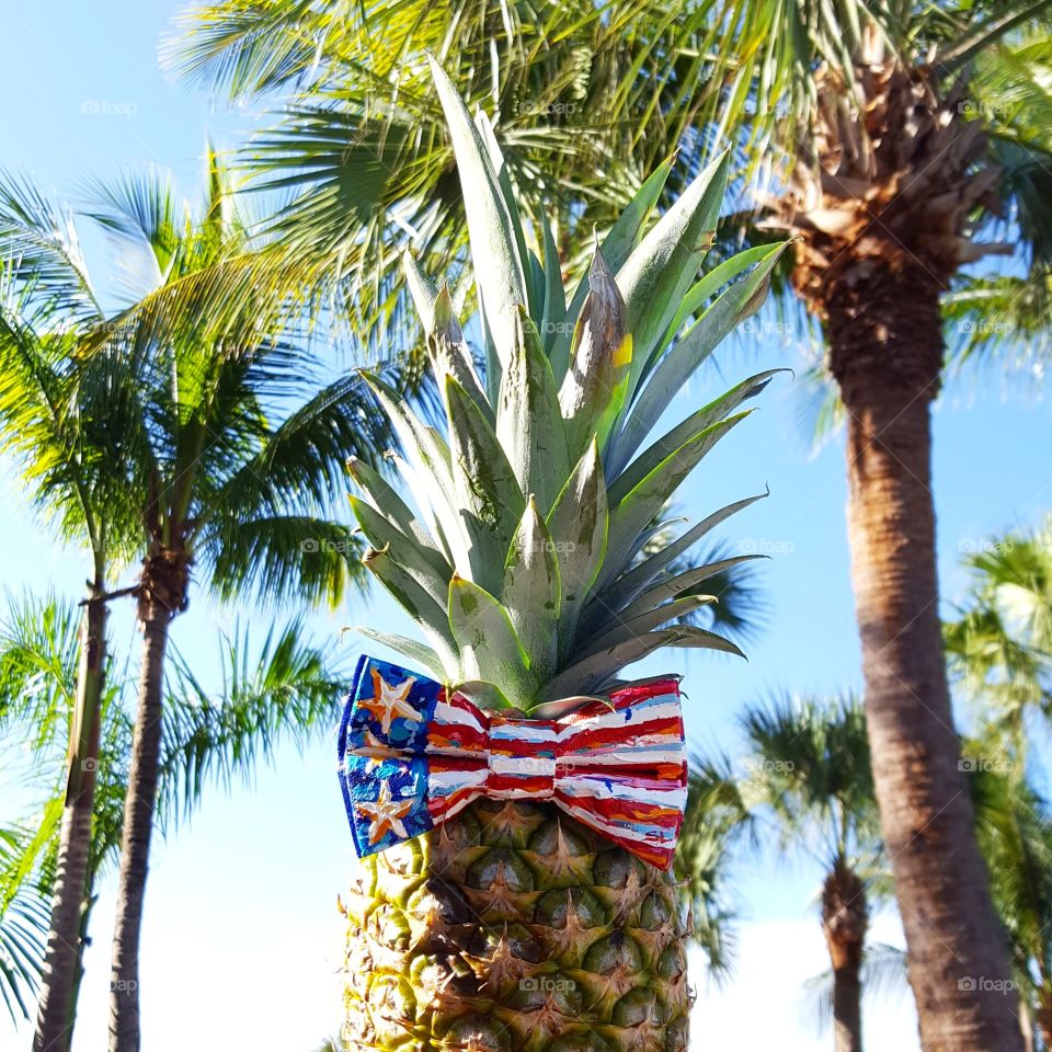 Patriotic Pineapple, a tropical independence day celebration.