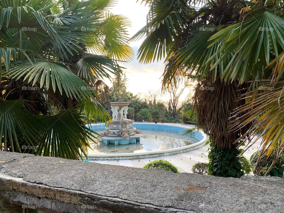 Санаторий Ордженикидзе Сочи 