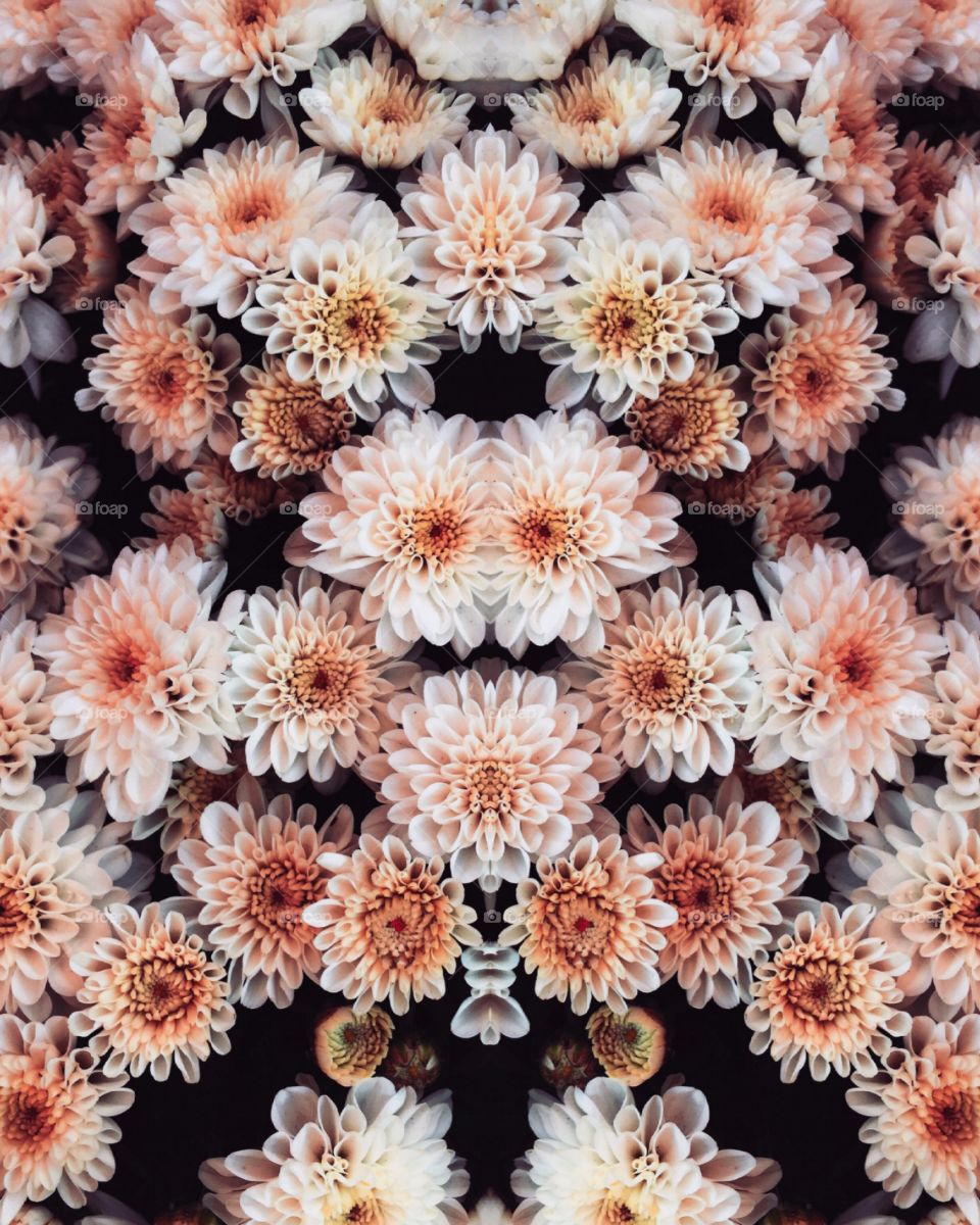 colorful flowers background picture