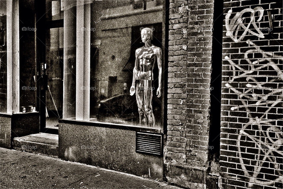 Lone Sandy Survivor NYC 2013