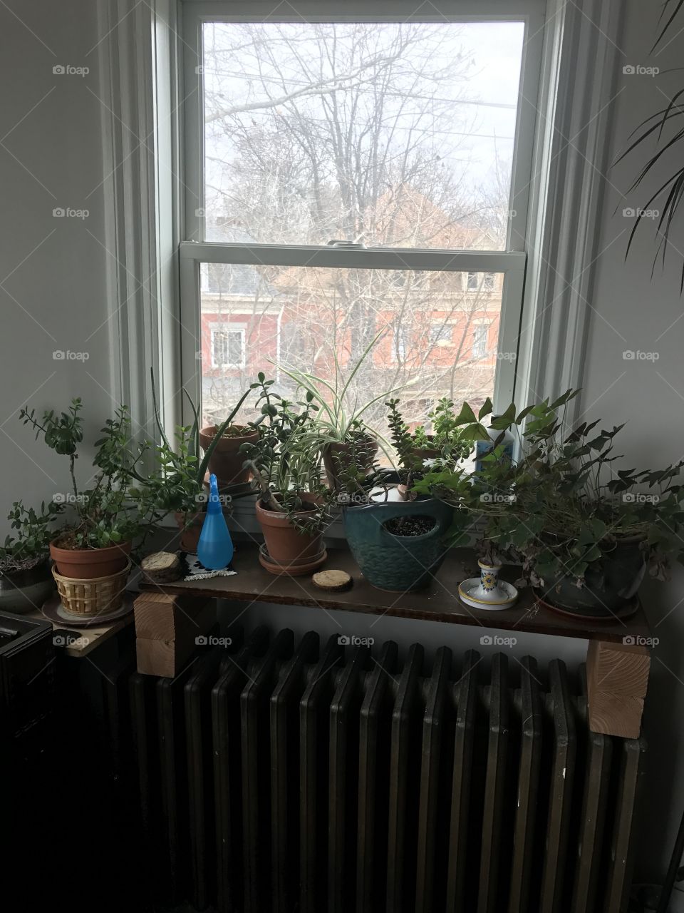 Airbnb plants 