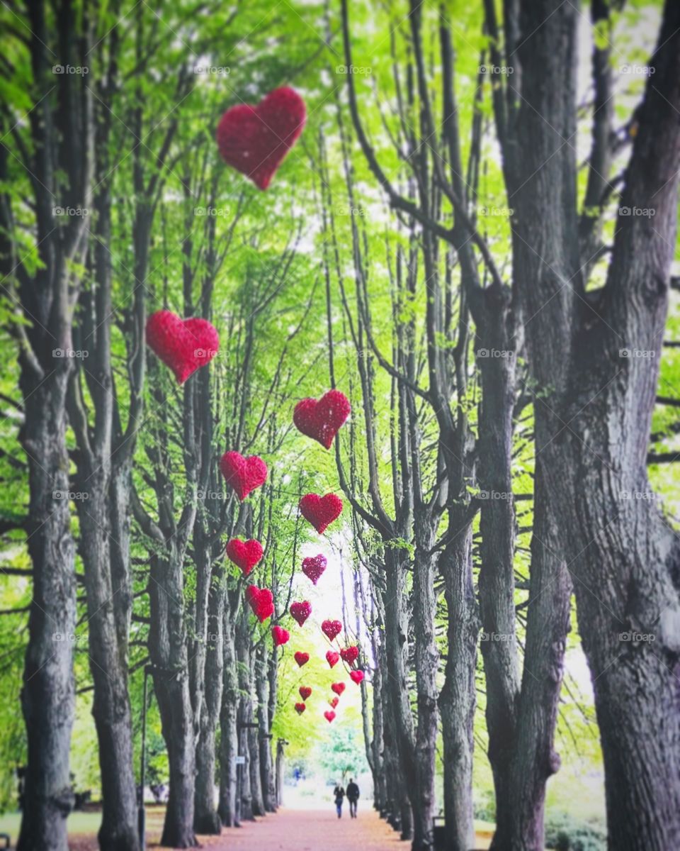 Hearts hanging in the trees wishing Happy Valentine’s Day. A couple in Love is walking down the alley. 