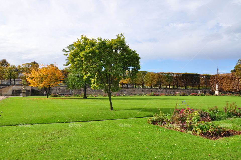 Autumn garden in Paris 