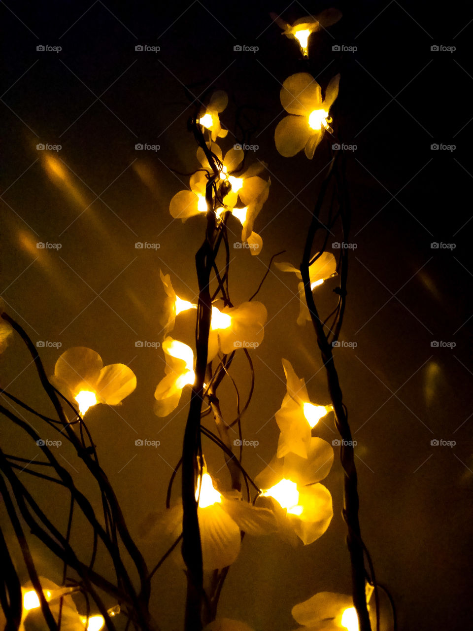 They'll lead the way home.