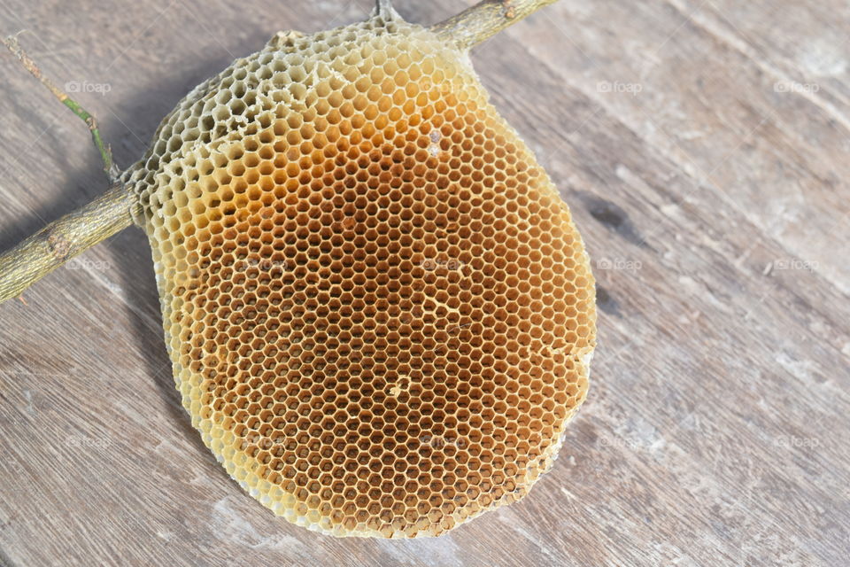 honeycomb.