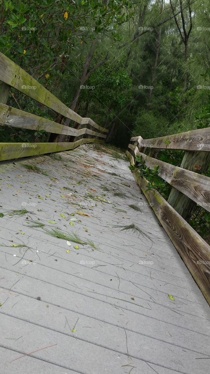 Into the darkness...