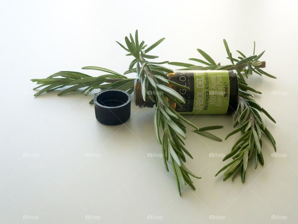 Herbs#rosemary#essential#oil