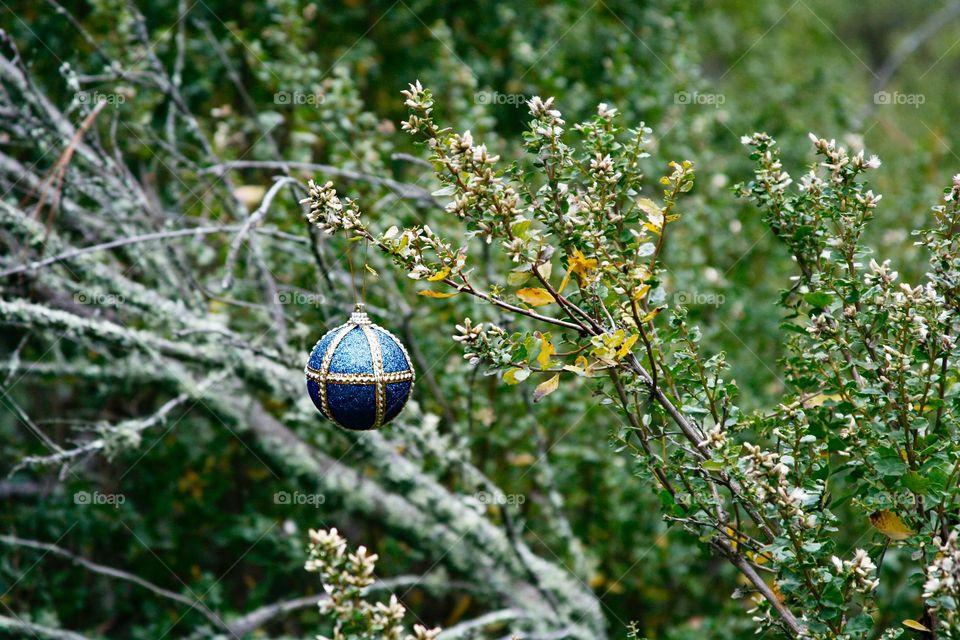 Christmas ball in forest 