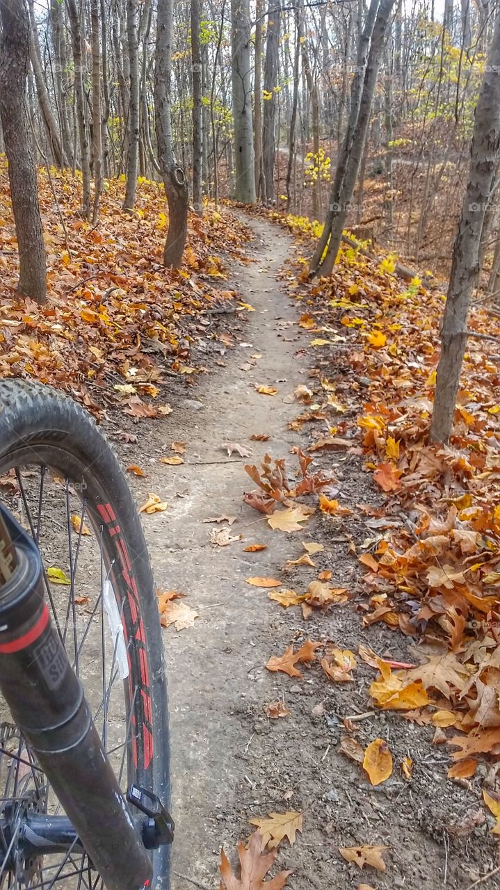 mountain bike path in the fall