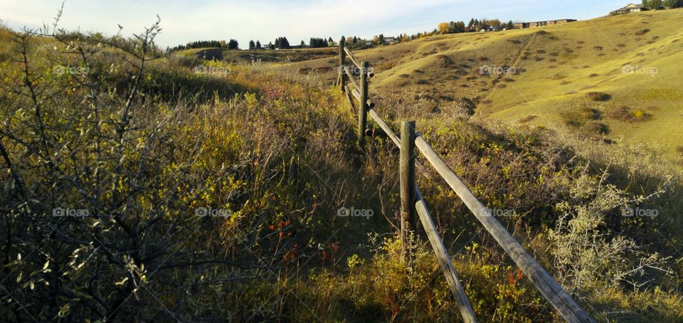 old fence