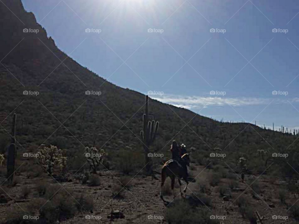 Horsebacking in the desert