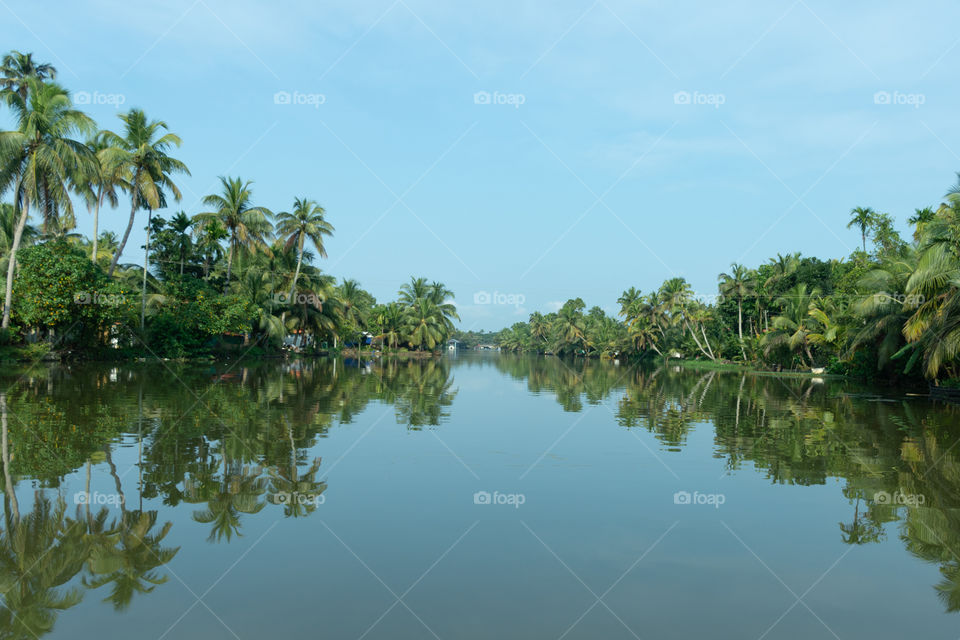 Green trees in Kerala backwaters with reflection in the water.