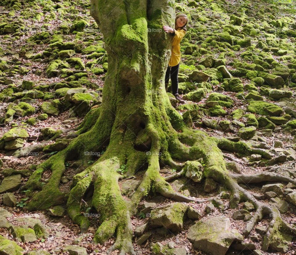 Hug an old tree in green moss