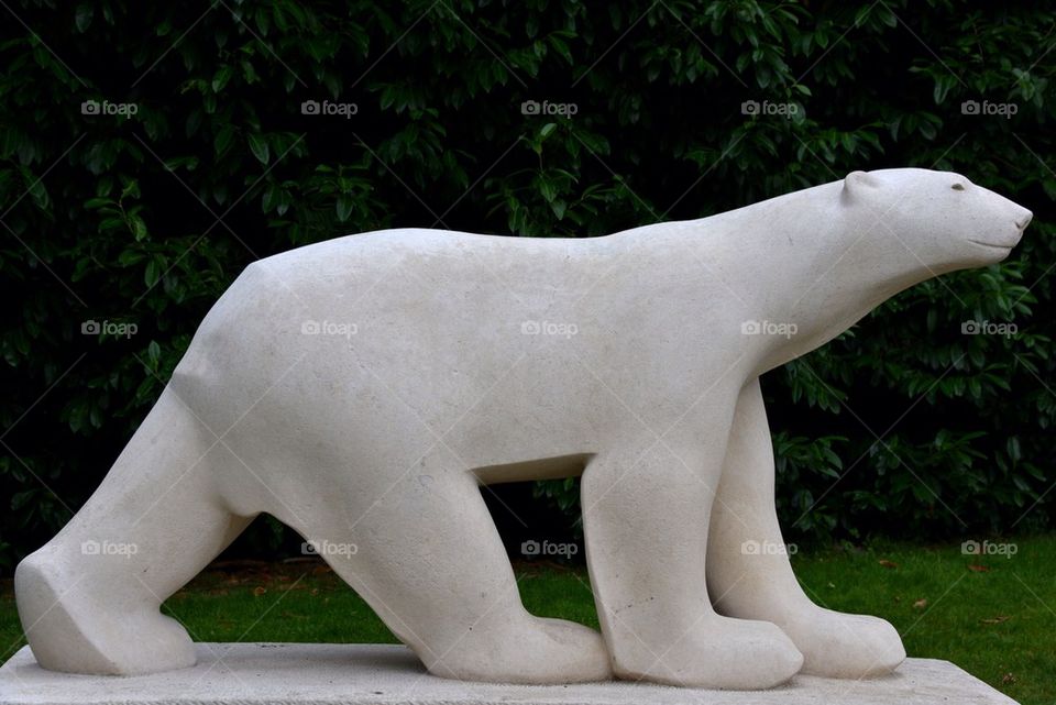 White bear