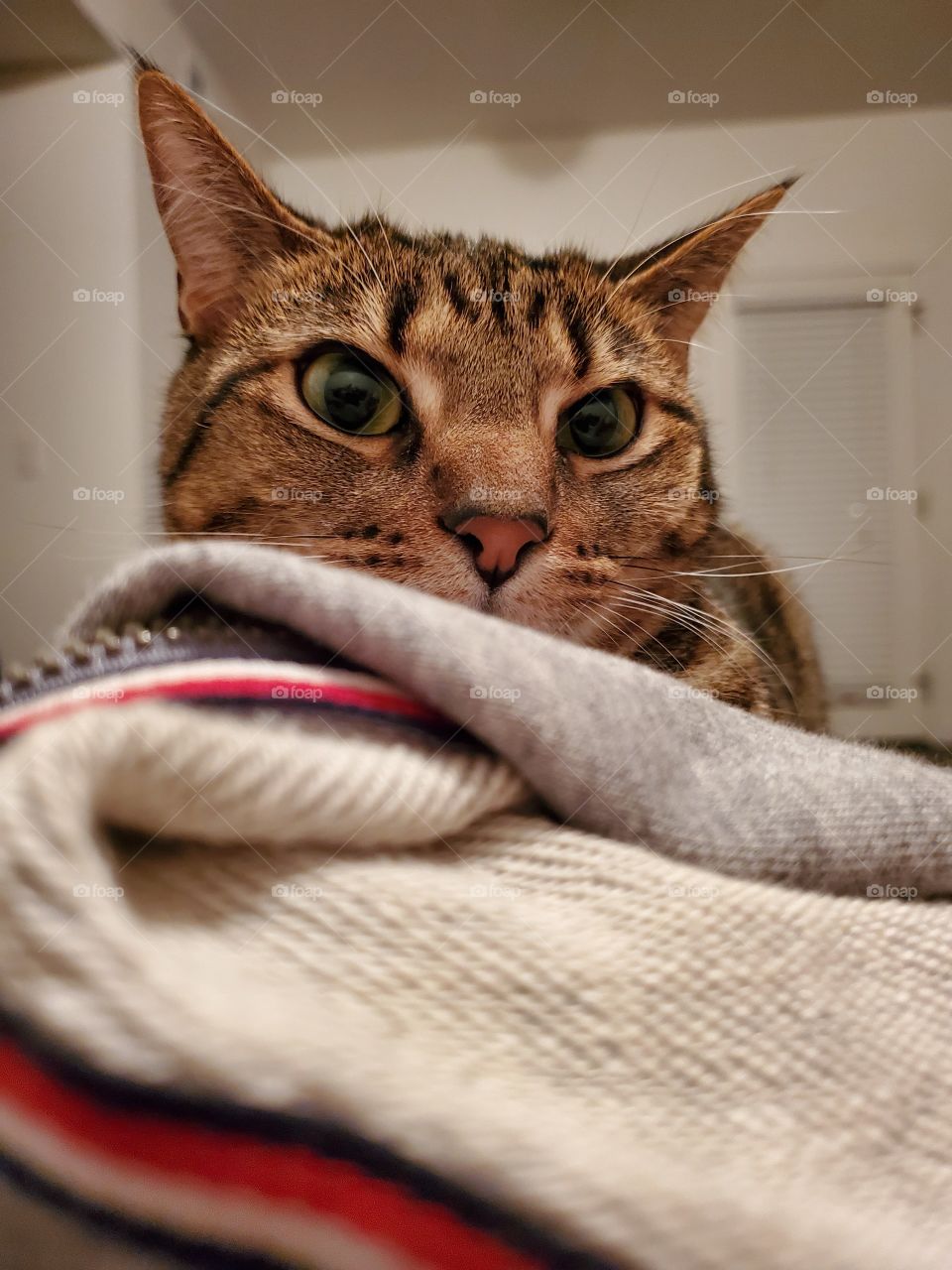 What are you looking at?