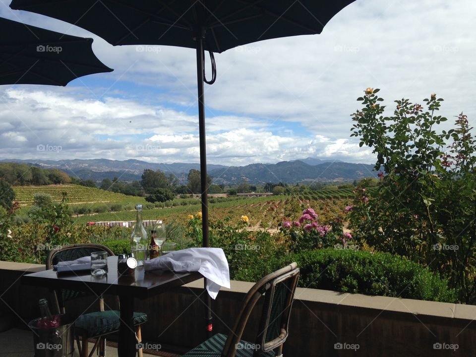 Wine Country Dining 