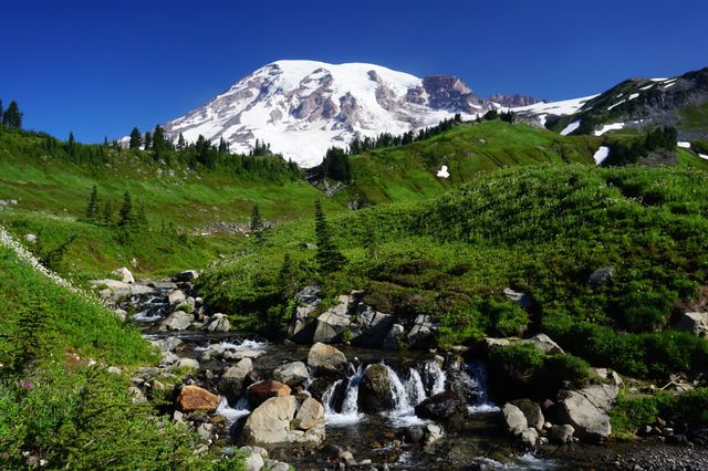 Mountain stream in Mt Rainier National Park