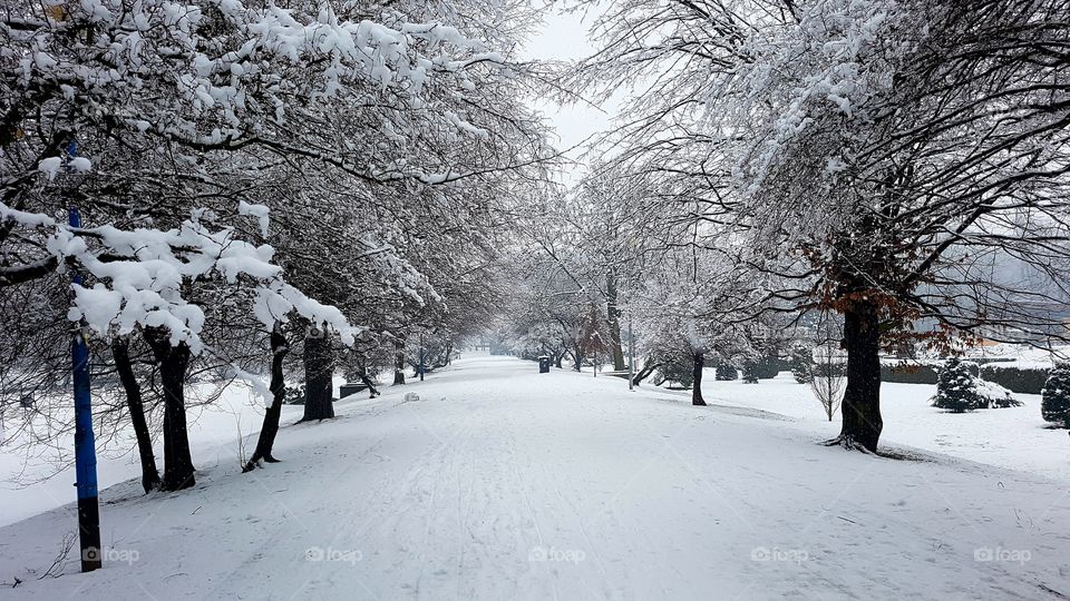 Winter landscape in Poland