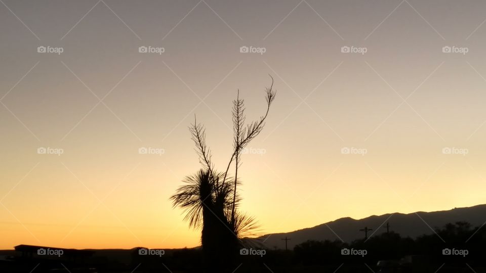 sunset in Arizona