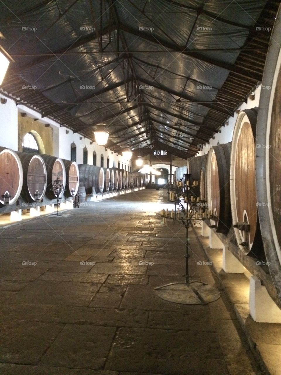 Colares Wine Cellar, Portugal