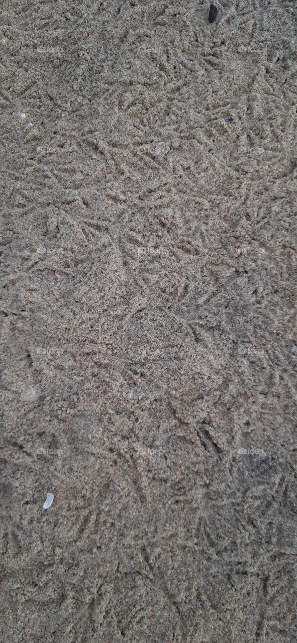 design made by crabs