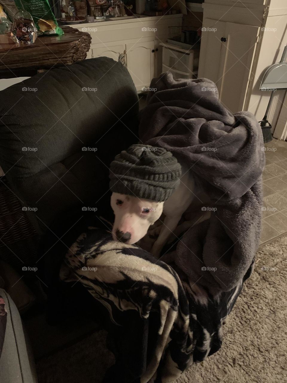 It’s too cold to go outside