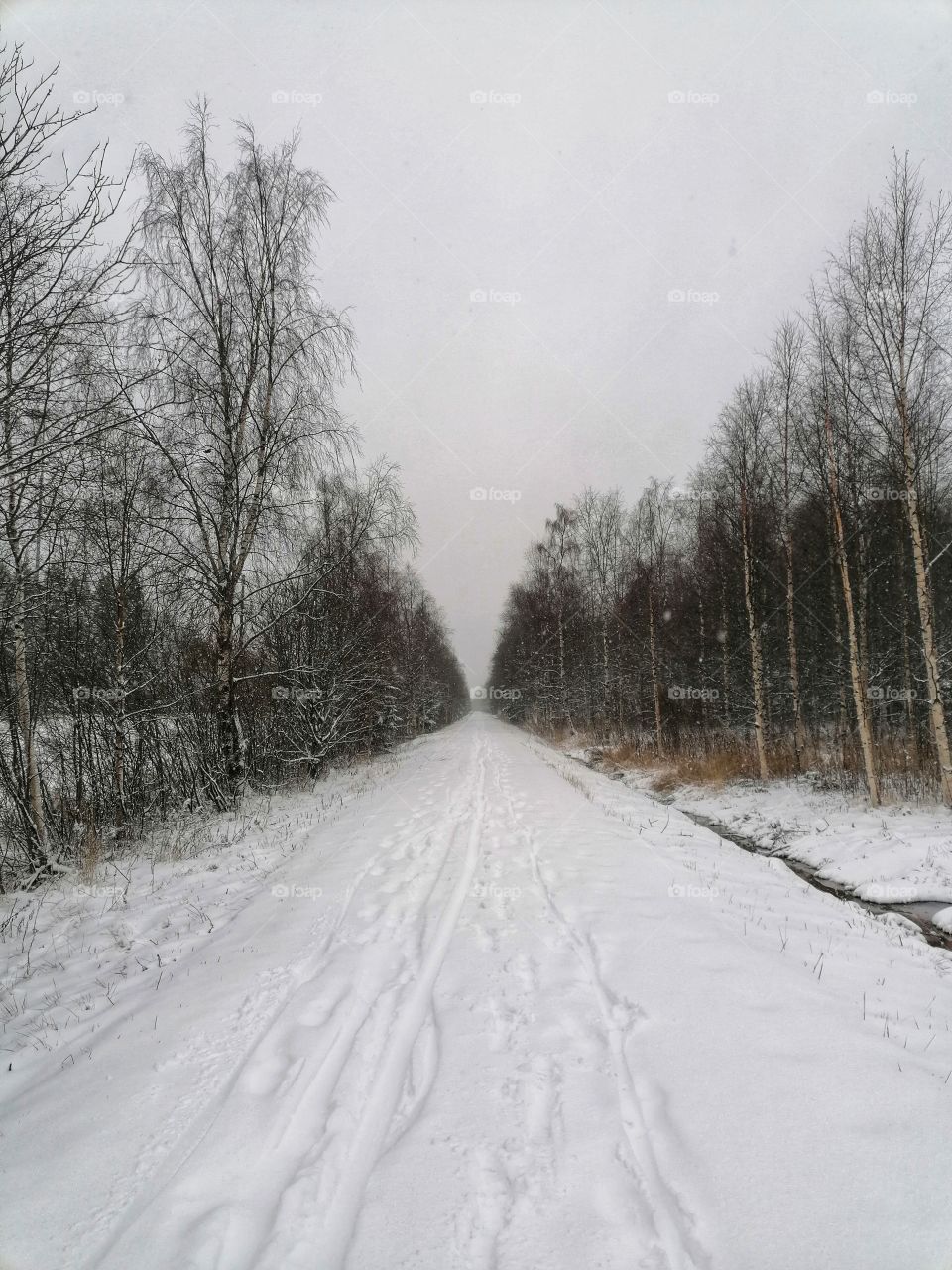 Winter arrived in Finnish Lapland in October.