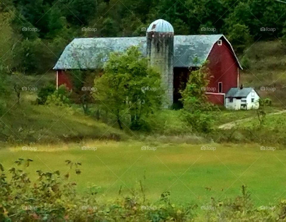 While driving the back roads we love seeing the small farms with the old buildings and the livestock.  It reminds me when I was young.