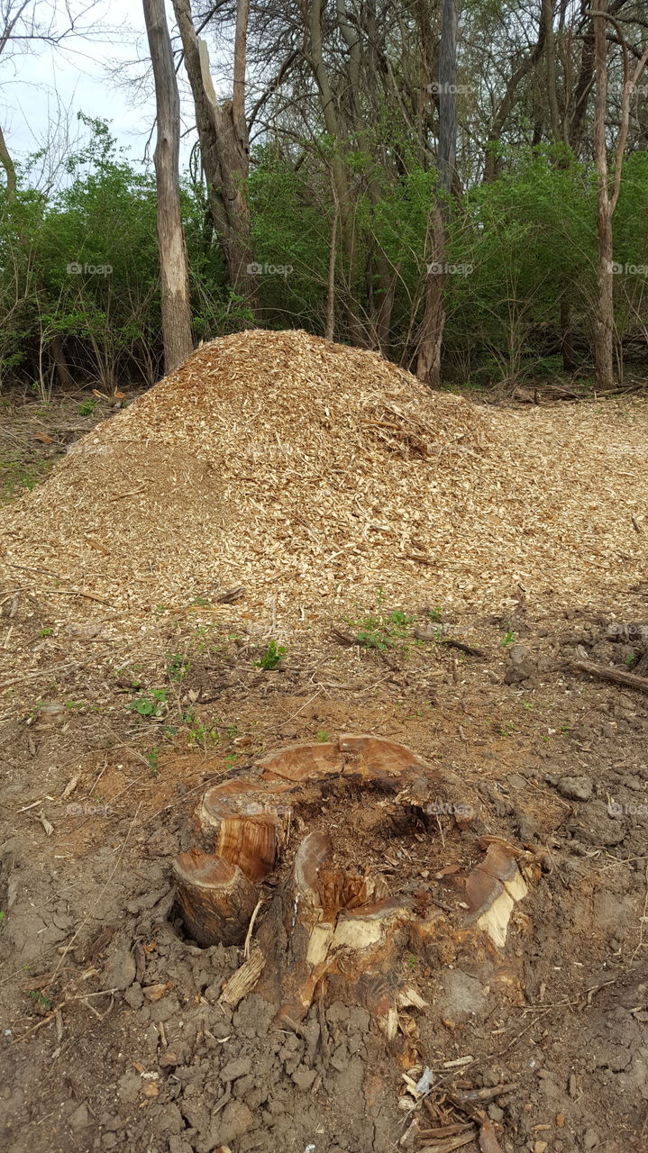 wood chips