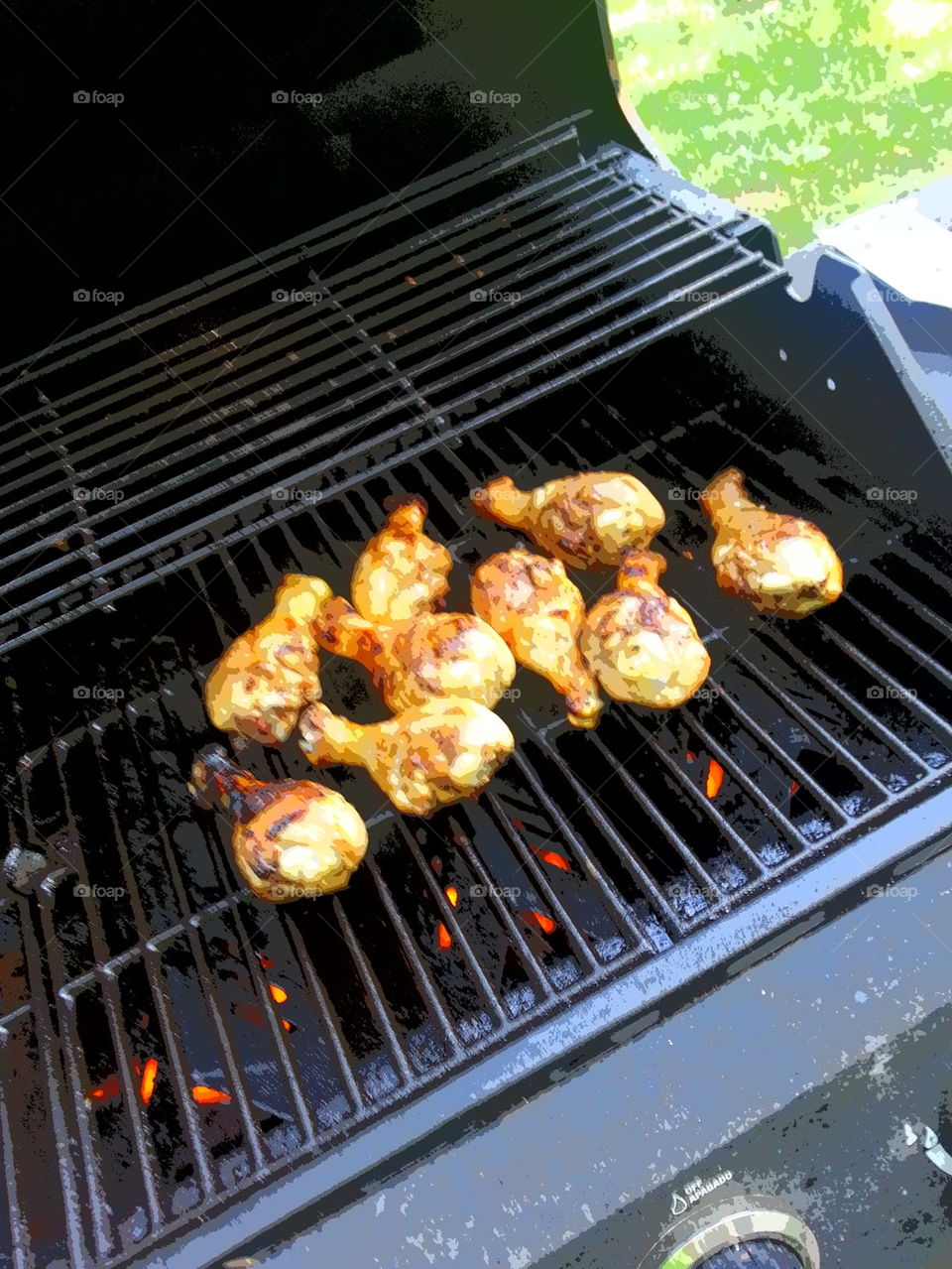 chicken on a grill